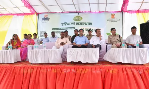 Jaipur: हरियाली तीज पर दौसा जिले में लगाए 5 लाख 68 हजार पौधे