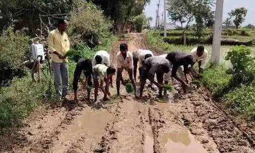 महोदय, कृपया हमारी सड़कें ठीक करवा दीजिए... कीचड़ भरी सड़कों पर धान की रोपाई कर विरोध प्रदर्शन