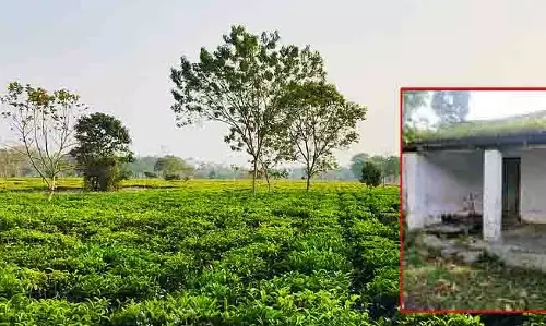 टीएमसी ने चावल के घरों में लीकेज की घटना को लेकर केंद्रीय मंत्री की आलोचना की