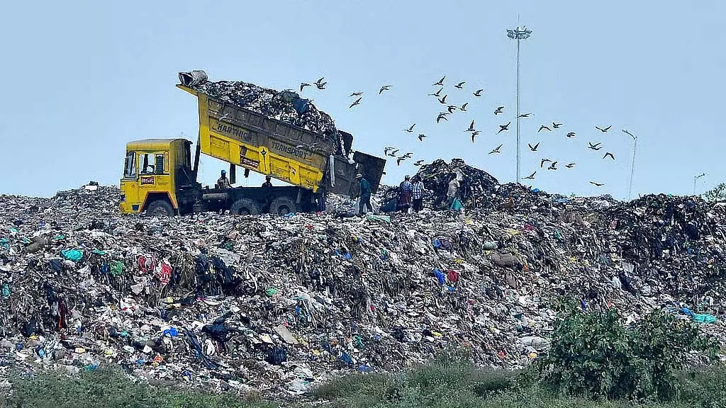Chennai निगम की कचरा डंप क्षेत्रों पर वन लगाने की योजना में देरी Chennai निगम की कचरा डंप क्षेत्रों पर वन लगाने की योजना में देरी