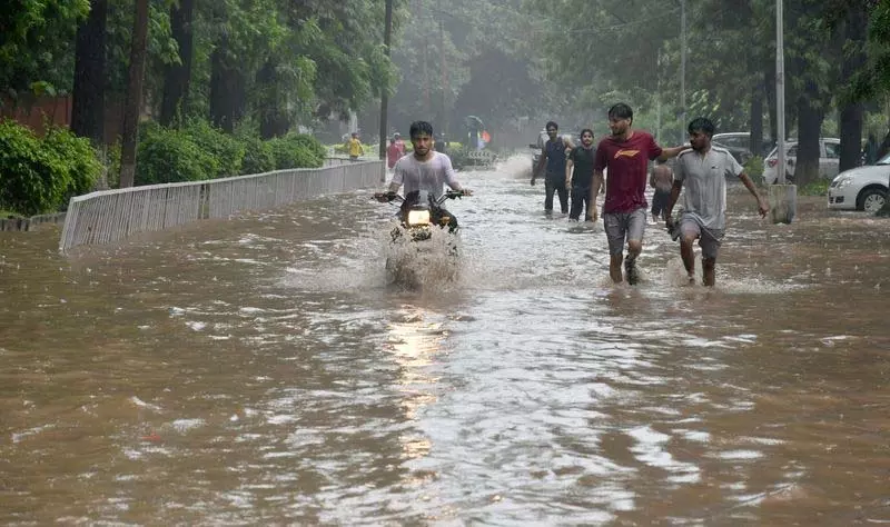 33 मिमी बारिश से गर्मी से राहत, लेकिन चंडीगढ़ की सड़कें जलमग्न 33 मिमी बारिश से गर्मी से राहत, लेकिन चंडीगढ़ की सड़कें जलमग्न