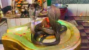 Nag Panchami Katha: अगर आपने भी रखा है नाग पंचमी का व्रत, तो जरूर पढ़ें ये पावन कथा Nag Panchami Katha: अगर आपने भी रखा है नाग पंचमी का व्रत, तो जरूर पढ़ें ये पावन कथा