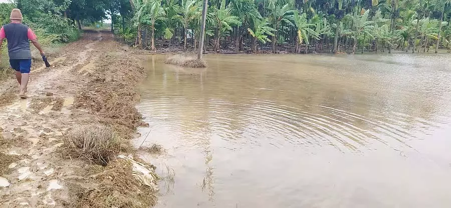 कर्नाटक बारिश : किसानों को नहर टूटने का डर कर्नाटक बारिश : किसानों को नहर टूटने का डर