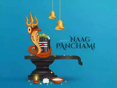 नाग पंचमी पर रोटी-पराठा क्यों नहीं बनाते? जानिए धार्मिक कारण नाग पंचमी पर रोटी-पराठा क्यों नहीं बनाते? जानिए धार्मिक कारण