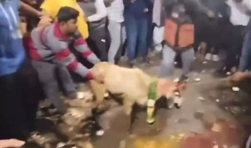 तेलंगाना में पशु बलि के चौंकाने वाले वीडियो पर FIR दर्ज, पेटा, मेनका गांधी ने हस्तक्षेप कियाd तेलंगाना में पशु बलि के चौंकाने वाले वीडियो पर FIR दर्ज, पेटा, मेनका गांधी ने हस्तक्षेप कियाd