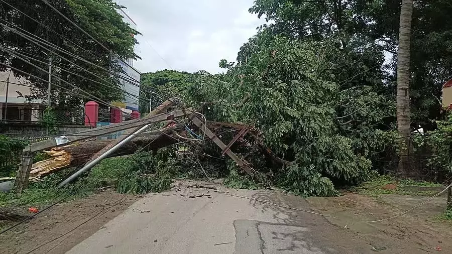 Shivmoga : हवा और बारिश के कारण पेड़ और बिजली के खंभे उखड़ गए Shivmoga : हवा और बारिश के कारण पेड़ और बिजली के खंभे उखड़ गए