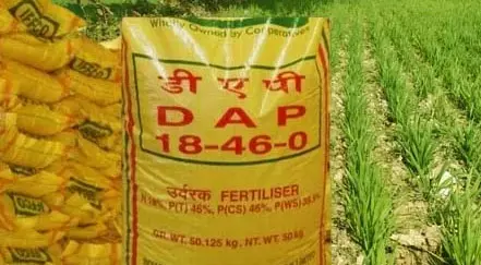 कलेक्टर ने की उर्वरक भण्डारण एवं वितरण की समीक्षा की कलेक्टर ने की उर्वरक भण्डारण एवं वितरण की समीक्षा की