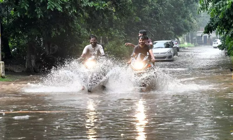 33 मिमी बारिश से Chandigarh में गर्मी से राहत, लेकिन बढ़ी परेशानी 33 मिमी बारिश से Chandigarh में गर्मी से राहत, लेकिन बढ़ी परेशानी