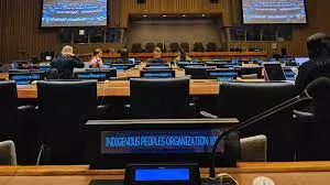 UNPO ने संयुक्त राष्ट्र स्वदेशी मंच पर अधिकारों के उल्लंघन पर प्रकाश डाला UNPO ने संयुक्त राष्ट्र स्वदेशी मंच पर अधिकारों के उल्लंघन पर प्रकाश डाला