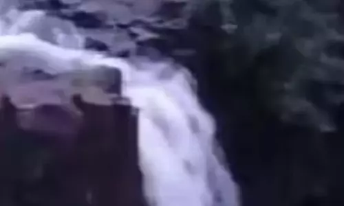 झरने में हादसा, यूनिवर्सिटी के 2 छात्रों की डूबने से मौत झरने में हादसा, यूनिवर्सिटी के 2 छात्रों की डूबने से मौत