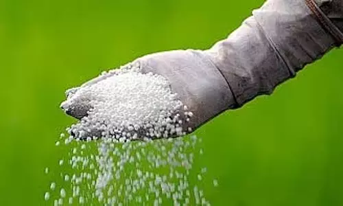 बागवानी को मिलेगा बढ़ावा, यूपी सरकार ने घोषित की सब्सिडी योजना