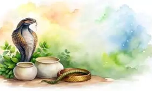 Nag Panchami 2025:क्यों मनाई जाती है नाग पंचमी, क्या है इसका धार्मिक महत्व