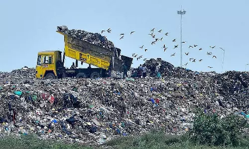 Chennai निगम की कचरा डंप क्षेत्रों पर वन लगाने की योजना में देरी
