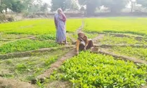 आजीविका को सहारा: भारत-UN कोष ने बुर्किना फासो में बांध बना किसानों को सशक्त किया आजीविका को सहारा: भारत-UN कोष ने बुर्किना फासो में बांध बना किसानों को सशक्त किया