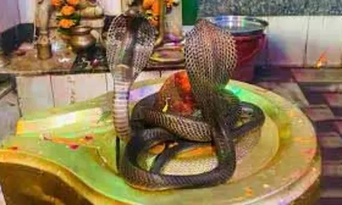 Nag Panchami Katha: अगर आपने भी रखा है नाग पंचमी का व्रत, तो जरूर पढ़ें ये पावन कथा