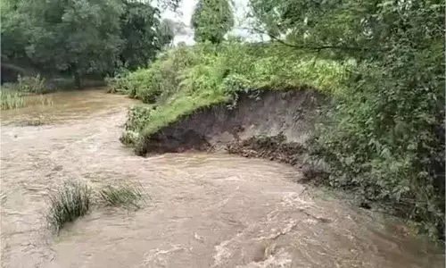 Mandla: बारिश ने मचाई तबाही, नदी-नाले उफान पर, बह गई पुलिया Mandla: बारिश ने मचाई तबाही, नदी-नाले उफान पर, बह गई पुलिया