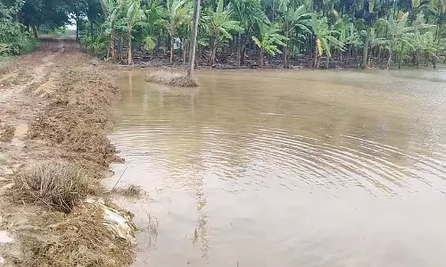 कर्नाटक बारिश : किसानों को नहर टूटने का डर कर्नाटक बारिश : किसानों को नहर टूटने का डर