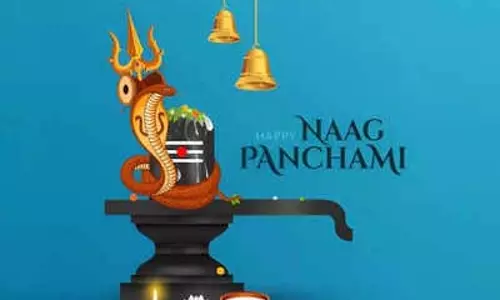 नाग पंचमी पर रोटी-पराठा क्यों नहीं बनाते? जानिए धार्मिक कारण