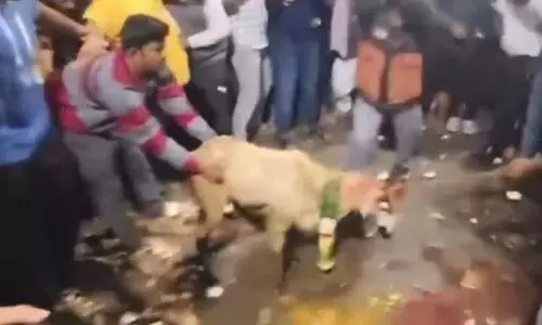 तेलंगाना में पशु बलि के चौंकाने वाले वीडियो पर FIR दर्ज, पेटा, मेनका गांधी ने हस्तक्षेप कियाd तेलंगाना में पशु बलि के चौंकाने वाले वीडियो पर FIR दर्ज, पेटा, मेनका गांधी ने हस्तक्षेप कियाd