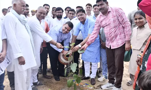 Churu कलेक्टर: सभी की भागीदारी से होगा हरित राजस्थान की संकल्पना साकार
