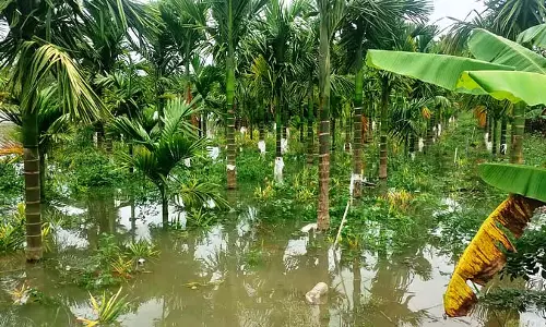 दो दिनों से हो रही बारिश: खेतों में पानी घुस गया है