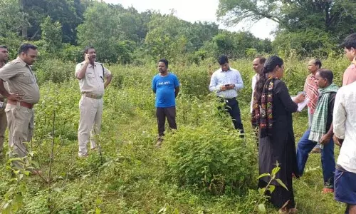 कंधमाल में एक व्यक्ति को हाथी ने कुचला, उसके अंग-भंग किए