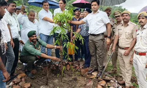 Jaipur: जिला प्रमुख एवं जिला कलेक्टर सहित जनप्रतिनिधियों ने किया पौधारोपण Jaipur: जिला प्रमुख एवं जिला कलेक्टर सहित जनप्रतिनिधियों ने किया पौधारोपण