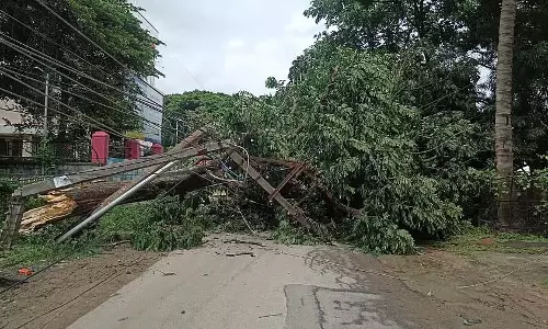 Shivmoga : हवा और बारिश के कारण पेड़ और बिजली के खंभे उखड़ गए Shivmoga : हवा और बारिश के कारण पेड़ और बिजली के खंभे उखड़ गए