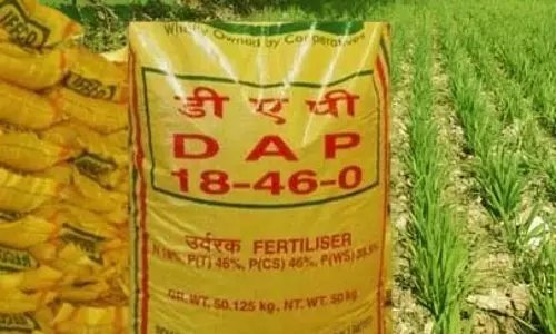 कलेक्टर ने की उर्वरक भण्डारण एवं वितरण की समीक्षा की