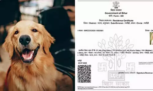 Bihar : कुत्तों के लिए भी निवास प्रमाण पत्र सोशल मीडिया पर अधिकारियों की लापरवाही की आलोचना Bihar : कुत्तों के लिए भी निवास प्रमाण पत्र सोशल मीडिया पर अधिकारियों की लापरवाही की आलोचना
