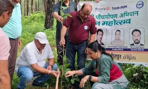 रोटरी क्लब Hamirpur ने मनाया वन महोत्सव, रोपे पौधे रोटरी क्लब Hamirpur ने मनाया वन महोत्सव, रोपे पौधे