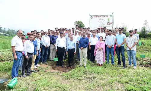 कृषि University में हरित आवरण और स्थायित्व को बढ़ावा देने के लिए पौधारोपण अभियान चलाया गया