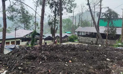 कचरे से खाद, Hamirpur MC ने दिखाई राह