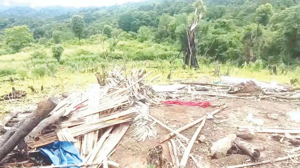 Nagaland :  ओल्ड आरी गांव में जंगली हाथियों ने मचाई तबाही