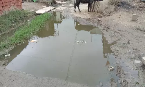 Datia: दतिया शहर में नलों से आ रहा गंदा पानी, जलभराव और गंदगी से लोग परेशान