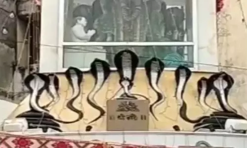 Kanpur: कालसर्प दोष से छुटकारे के लिए भक्त पहुंच रहे खेरेपति मंदिर