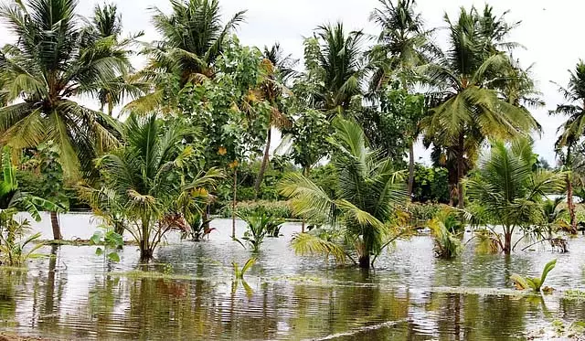 मेट्टूर बांध से अतिरिक्त पानी छोड़ा गया: तटीय भूमि और घरों में पानी घुस गया मेट्टूर बांध से अतिरिक्त पानी छोड़ा गया: तटीय भूमि और घरों में पानी घुस गया