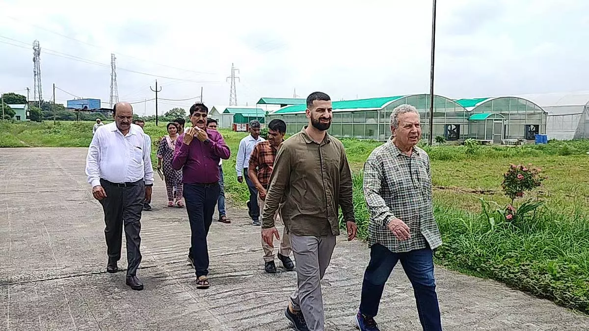 MP : मुरैना में किसानों को हाइब्रिड फसलें उगाने का प्रशिक्षण दिया जाएगा MP : मुरैना में किसानों को हाइब्रिड फसलें उगाने का प्रशिक्षण दिया जाएगा