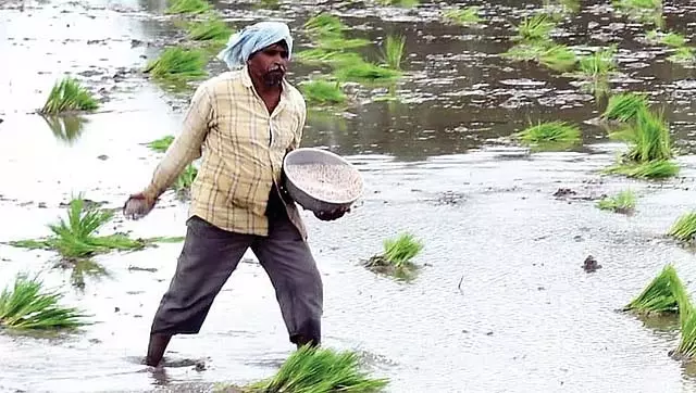 उर्वरक की कमी: हमने केंद्र को छह पत्र लिखे हैं; राज्य कृषि विभाग की जानकारी उर्वरक की कमी: हमने केंद्र को छह पत्र लिखे हैं; राज्य कृषि विभाग की जानकारी