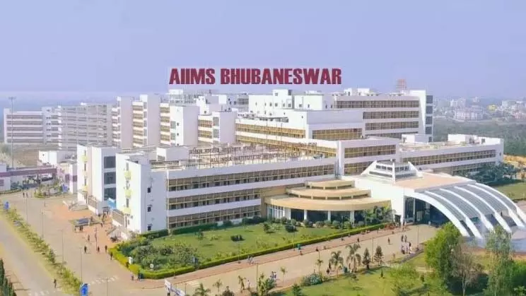 महिला अटेंडेंट से बदसलूकी के आरोप में AIIMS भुवनेश्वर की नर्सिंग अधिकारी गिरफ्तार महिला अटेंडेंट से बदसलूकी के आरोप में AIIMS भुवनेश्वर की नर्सिंग अधिकारी गिरफ्तार