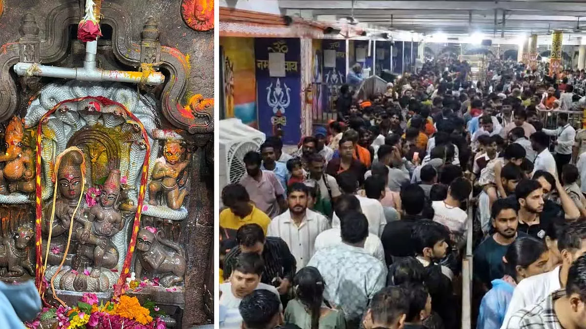 नाग पंचमी विशेष: उज्जैन के नागचंद्रेश्वर मंदिर में 4 लाख से अधिक श्रद्धालुओं ने दर्शन किए नाग पंचमी विशेष: उज्जैन के नागचंद्रेश्वर मंदिर में 4 लाख से अधिक श्रद्धालुओं ने दर्शन किए