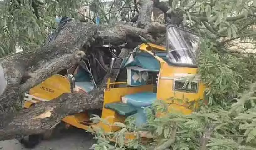 Siddipet में चलती गाड़ियों पर इमली का पेड़ गिरा, दो लोग मामूली रूप से घायल Siddipet में चलती गाड़ियों पर इमली का पेड़ गिरा, दो लोग मामूली रूप से घायल