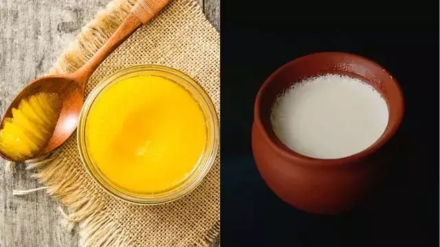 घी के साथ न खाएं ये 6 चीज़ें, वरना सेहत को होगा भारी नुक़सान घी के साथ न खाएं ये 6 चीज़ें, वरना सेहत को होगा भारी नुक़सान