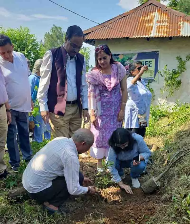 स्वयं से ऊपर सेवा, Rotary Club ने वृक्षारोपण अभियान का आयोजन किया स्वयं से ऊपर सेवा, Rotary Club ने वृक्षारोपण अभियान का आयोजन किया