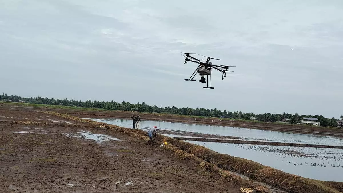 एर्नाकुलम के पट्टनक्कड़ में ड्रोन से 110 एकड़ खेतों में धान के बीज बोए गए एर्नाकुलम के पट्टनक्कड़ में ड्रोन से 110 एकड़ खेतों में धान के बीज बोए गए
