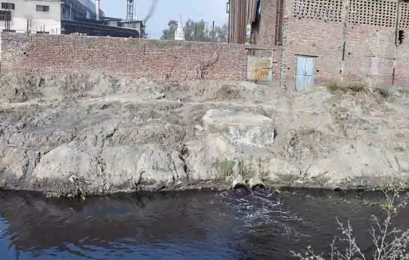Ludhiana के बुद्ध नाले को प्रदूषित करने में रंगाई इकाइयां मुख्य दोषी Ludhiana के बुद्ध नाले को प्रदूषित करने में रंगाई इकाइयां मुख्य दोषी