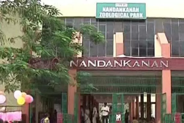 खोरधा में बर्ड फ्लू का खतरा, नंदनकानन चिड़ियाघर हाई अलर्ट पर खोरधा में बर्ड फ्लू का खतरा, नंदनकानन चिड़ियाघर हाई अलर्ट पर