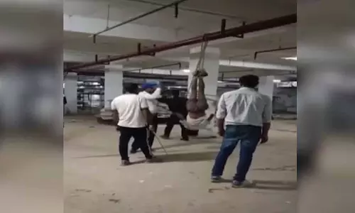 बिल्डिंग में हाथ-पैर बांधकर मजदूर की पिटाई, वीडियो वायरल बिल्डिंग में हाथ-पैर बांधकर मजदूर की पिटाई, वीडियो वायरल