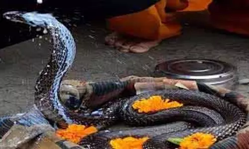 Nag Panchami 2025: नाग पंचमी आज है, काल सर्प योग से मुक्ति के लिए करें ये काम