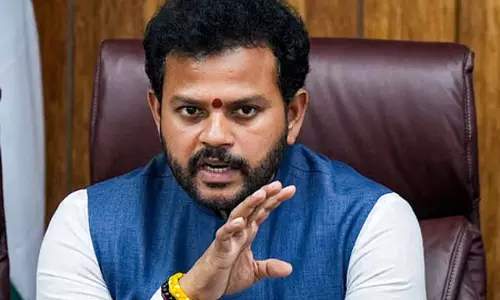इस साल उड़ानों में 183 तकनीकी समस्याएं आईं: केंद्र सरकार